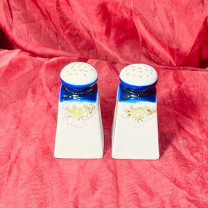 Vintage 3.5" Porcelain Salt & Pepper Shakers Handpainted Flow Blue Style